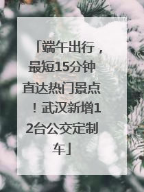 端午出行，最短15分钟直达热门景点！武汉新增12台公交定制车