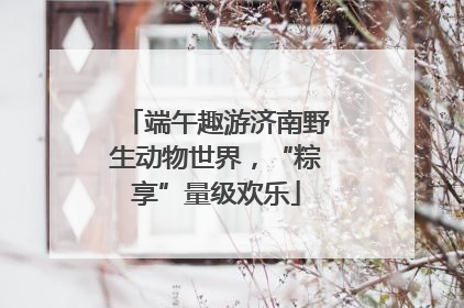 端午趣游济南野生动物世界，“粽享”量级欢乐