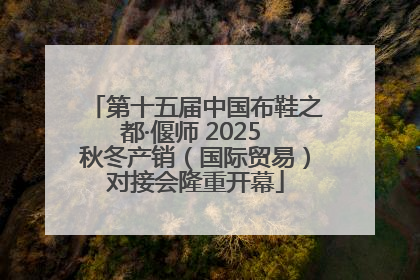 第十五届中国布鞋之都·偃师 2025 秋冬产销（国际贸易）对接会隆重开幕