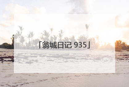 翁城日记 935