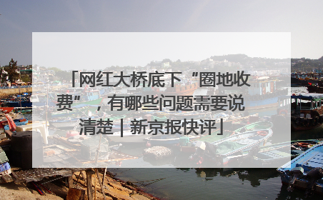 网红大桥底下“圈地收费”，有哪些问题需要说清楚｜新京报快评