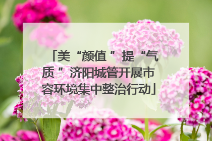 美“颜值 ”提“气质 ”济阳城管开展市容环境集中整治行动
