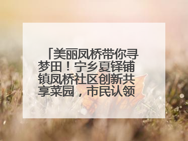 美丽凤桥带你寻梦田！宁乡夏铎铺镇凤桥社区创新共享菜园，市民认领菜土，体验耕种收获乐趣