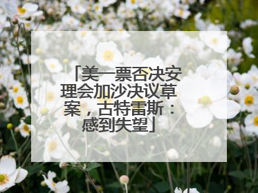 美一票否决安理会加沙决议草案，古特雷斯：感到失望