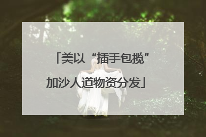美以“插手包揽”加沙人道物资分发