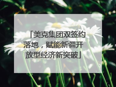 美克集团双签约落地，赋能新疆开放型经济新突破