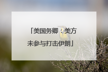 美国务卿：美方未参与打击伊朗
