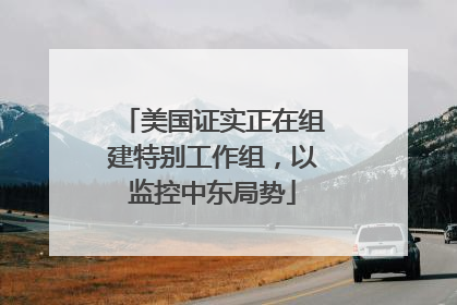 美国证实正在组建特别工作组，以监控中东局势