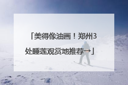 美得像油画！郑州3处睡莲观赏地推荐→