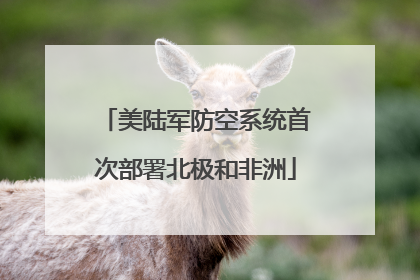 美陆军防空系统首次部署北极和非洲