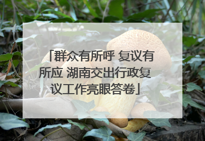 群众有所呼 复议有所应 湖南交出行政复议工作亮眼答卷