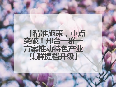 精准施策，重点突破！邢台一群一方案推动特色产业集群提档升级