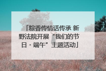 粽香传情话传承 新野法院开展“我们的节日・端午”主题活动