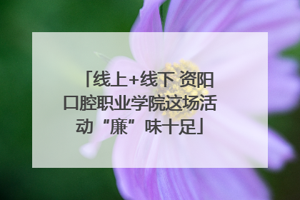 线上+线下 资阳口腔职业学院这场活动“廉”味十足