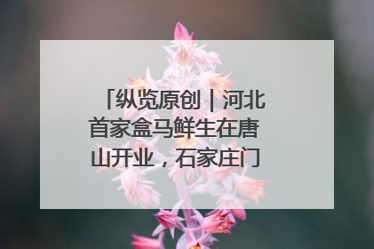 纵览原创｜河北首家盒马鲜生在唐山开业，石家庄门店预计8月开业