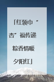 红领巾“杏”福传递 粽香情暖夕阳红