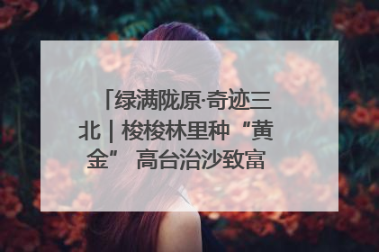 绿满陇原·奇迹三北｜梭梭林里种“黄金” 高台治沙致富很“从容”