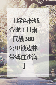 绿色长城合拢！甘肃民勤380公里锁边林带缚住沙海