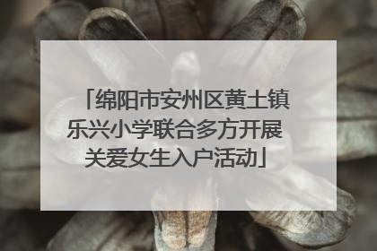 绵阳市安州区黄土镇乐兴小学联合多方开展关爱女生入户活动