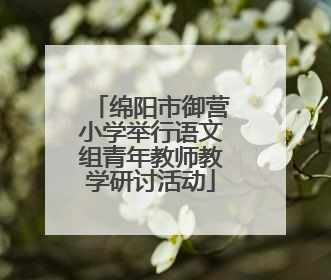 绵阳市御营小学举行语文组青年教师教学研讨活动