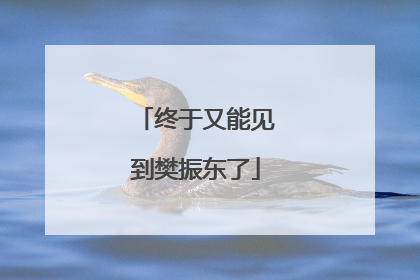 终于又能见到樊振东了