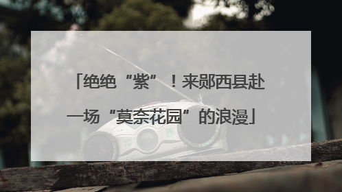 绝绝“紫”！来郧西县赴一场“莫奈花园”的浪漫