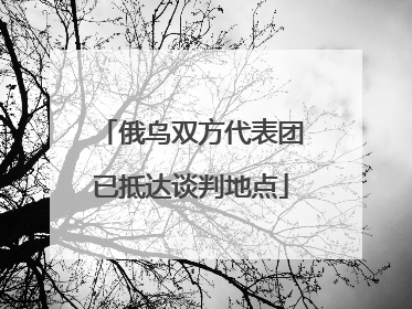 俄乌双方代表团已抵达谈判地点