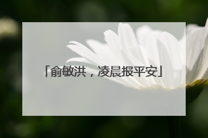 俞敏洪，凌晨报平安