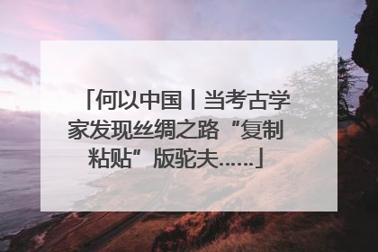 何以中国丨当考古学家发现丝绸之路“复制粘贴”版驼夫……