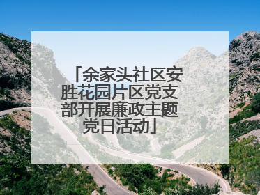 余家头社区安胜花园片区党支部开展廉政主题党日活动