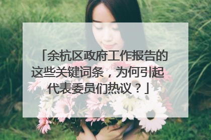 余杭区政府工作报告的这些关键词条，为何引起代表委员们热议？