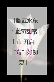临武水东：蓝莓甜蜜上市 开启“莓”好初夏
