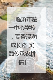 临汾市第一中心学校：麦香浸润成长路 实践传承农耕情