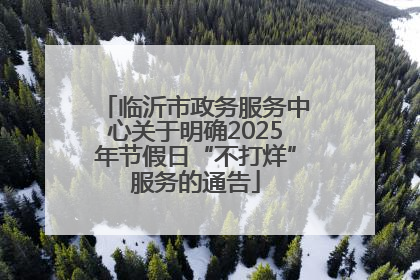 临沂市政务服务中心关于明确2025年节假日“不打烊”服务的通告