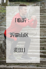 临沂：沂蒙山区麦田