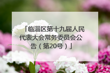 临淄区第十九届人民代表大会常务委员会公告（第20号）