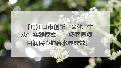 丹江口市创新“文化+生态”实践模式——畅春园项目润民心护碧水显成效