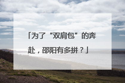 为了“双肩包”的奔赴，邵阳有多拼？