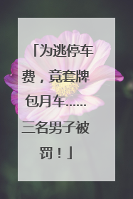 为逃停车费，竟套牌包月车……三名男子被罚！