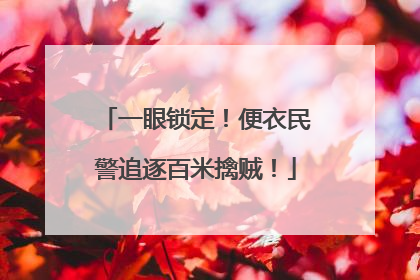 一眼锁定！便衣民警追逐百米擒贼！