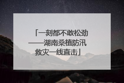 一刻都不敢松劲——湖南桑植防汛救灾一线直击