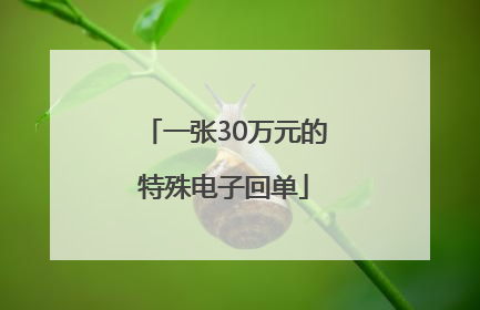 一张30万元的特殊电子回单