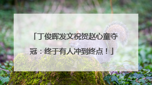 丁俊晖发文祝贺赵心童夺冠：终于有人冲到终点！