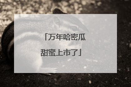 万年哈密瓜甜蜜上市了