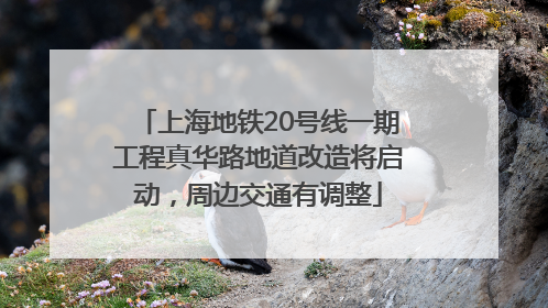 上海地铁20号线一期工程真华路地道改造将启动，周边交通有调整