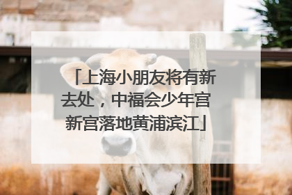 上海小朋友将有新去处，中福会少年宫新宫落地黄浦滨江