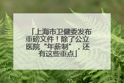上海市卫健委发布重磅文件！除了公立医院“年薪制”，还有这些重点