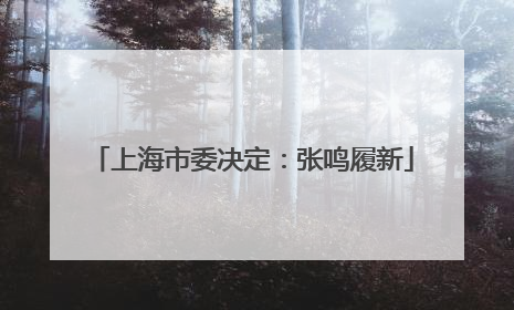 上海市委决定：张鸣履新