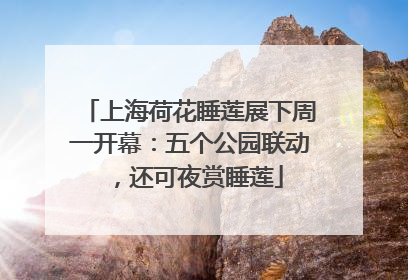 上海荷花睡莲展下周一开幕：五个公园联动，还可夜赏睡莲