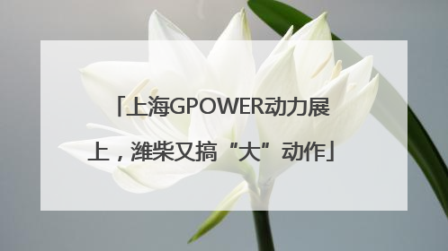 上海GPOWER动力展上，潍柴又搞“大”动作